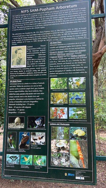 Popham's Arboretum-丹布拉必去景点