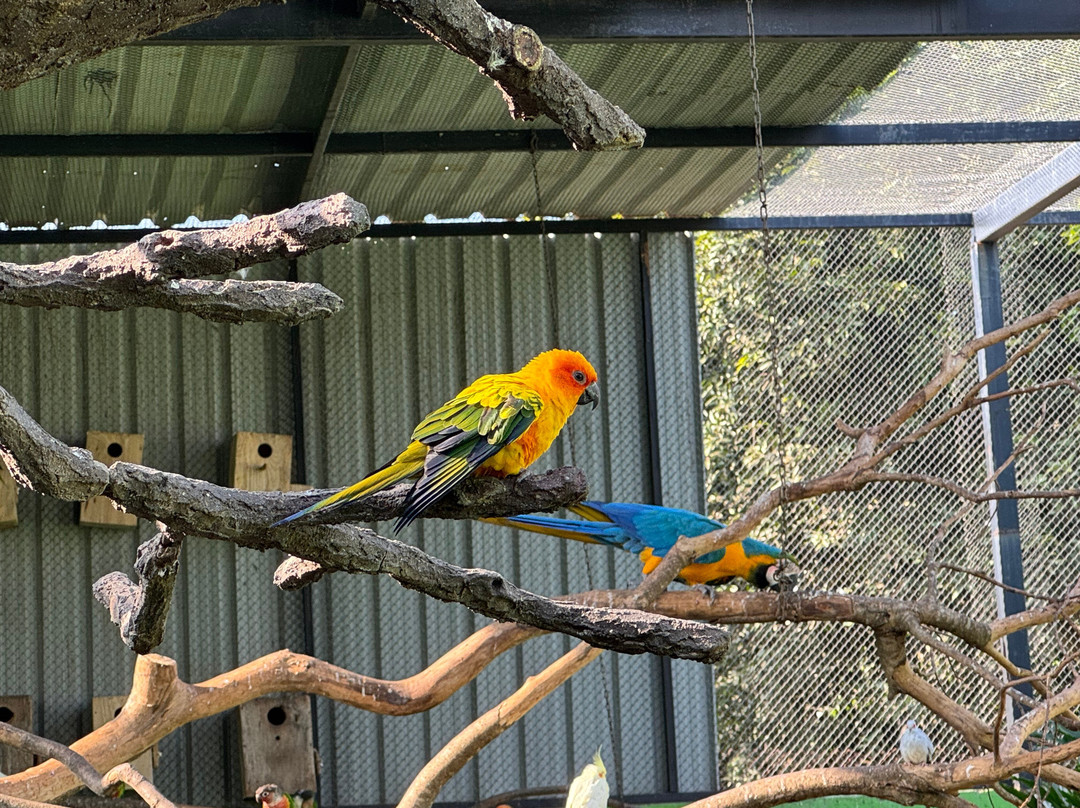 Fundera Park-Yelagiri必去景点