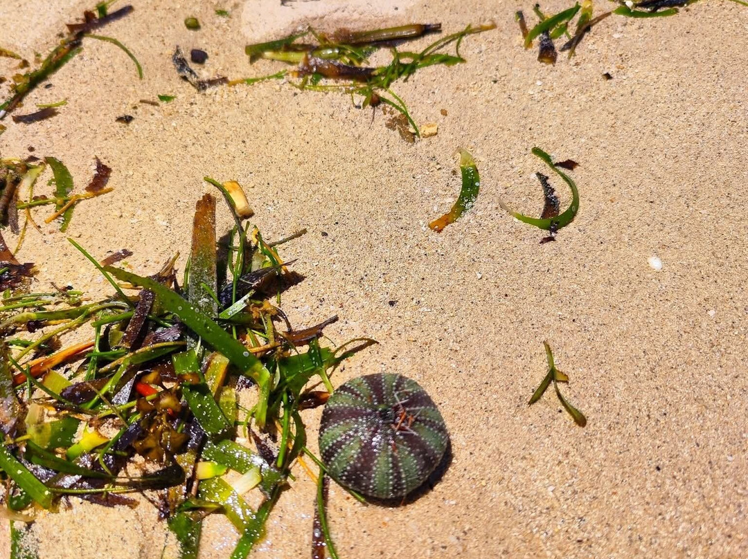 Caohagan Island-拉普拉普必去景点