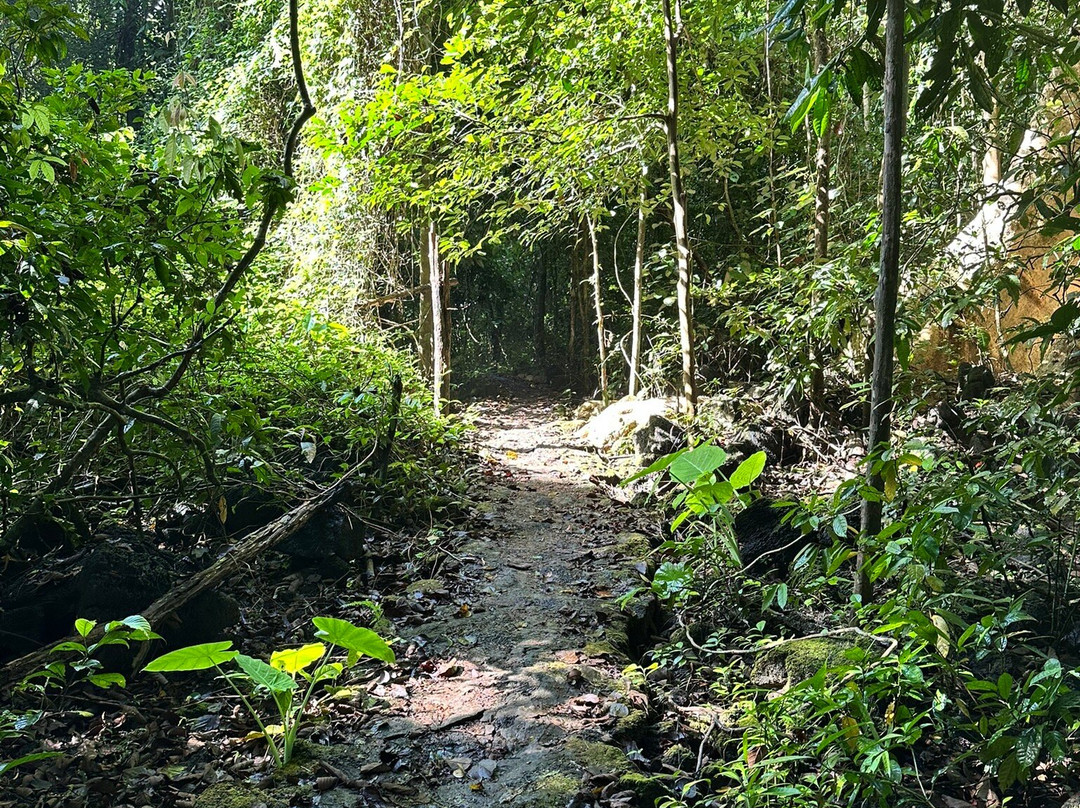 Crocodile Lake-Cat Tien National Park必去景点