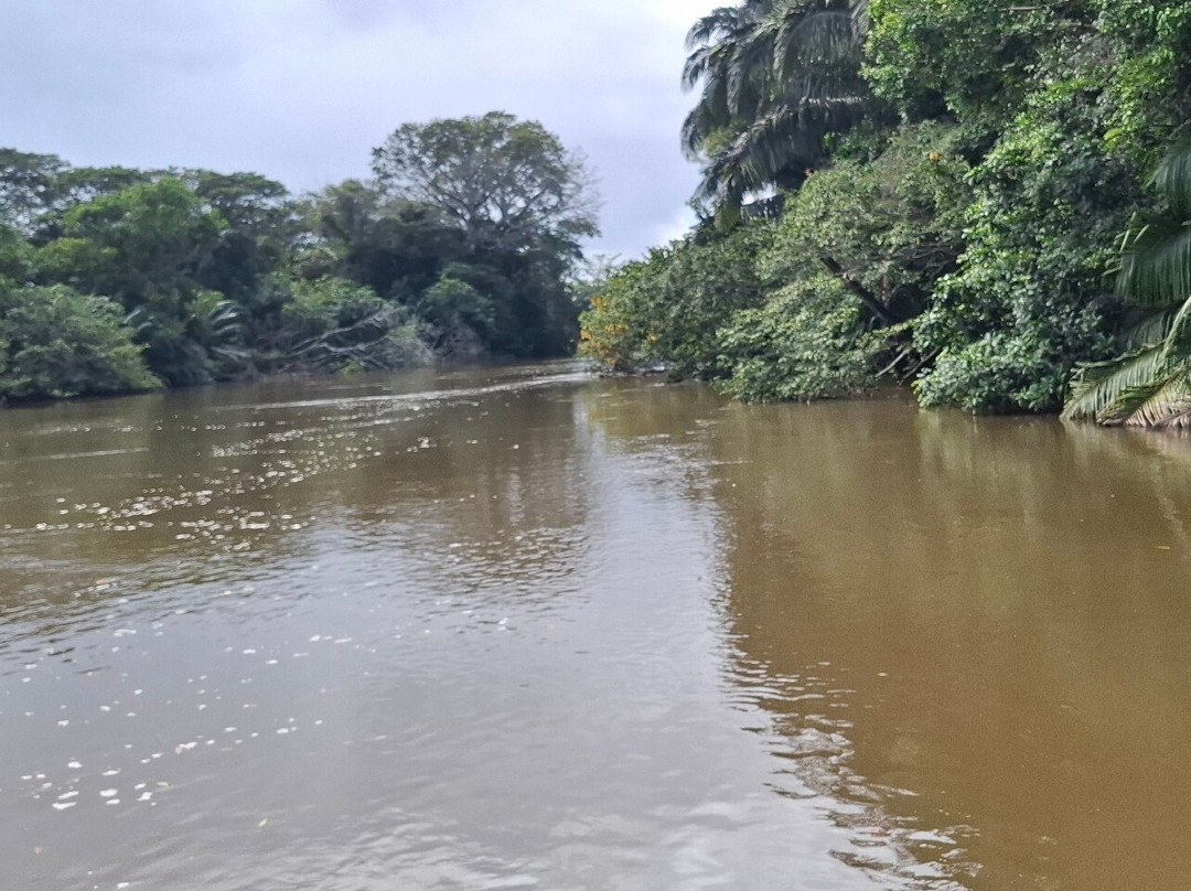 Caño Negro Wildlife Refuge-Cano Negro必去景点