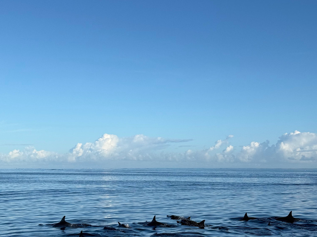 Vitamin Sea-黑河必去景点