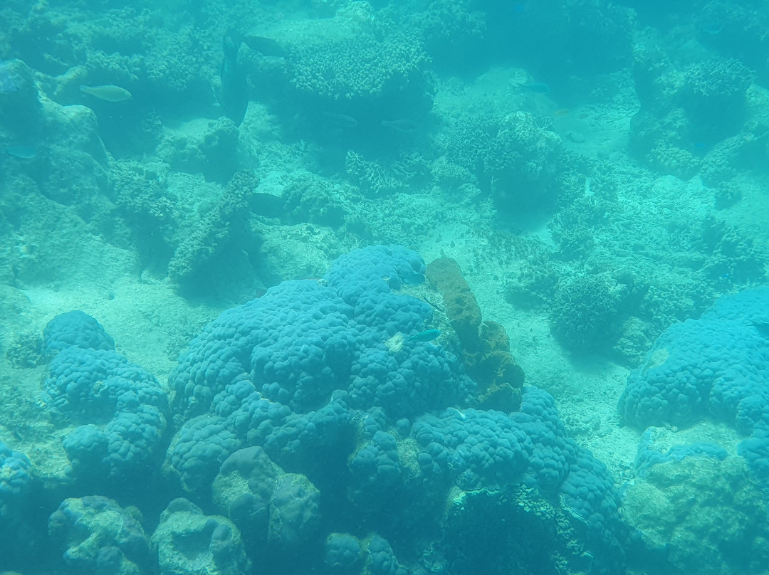 View Ningaloo-埃克斯茅斯必去景点