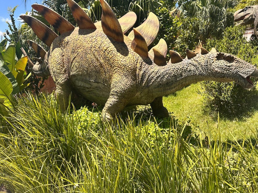 Aventura Jurássica-康泊琉海水浴场必去景点