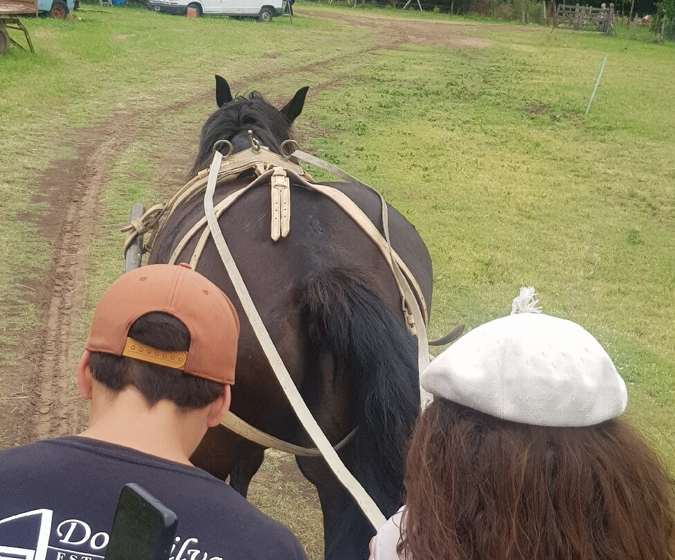 Estancia Don Silvano主图