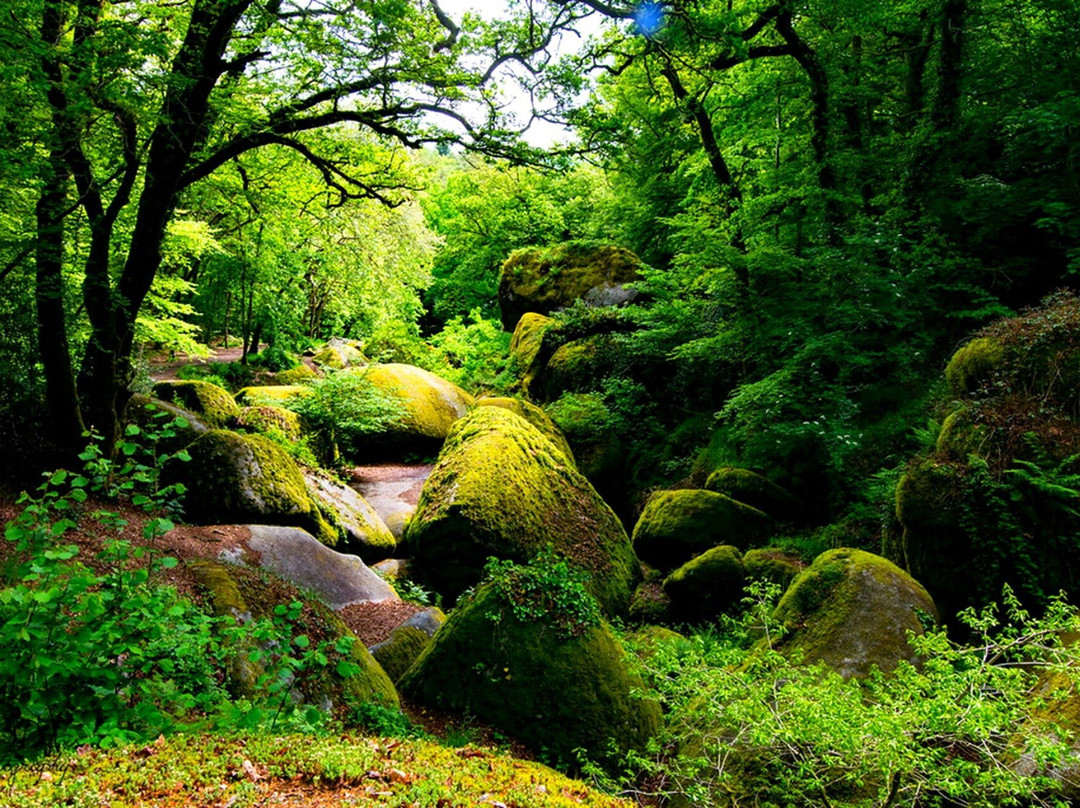 Foret de Huelgoat-Huelgoat必去景点