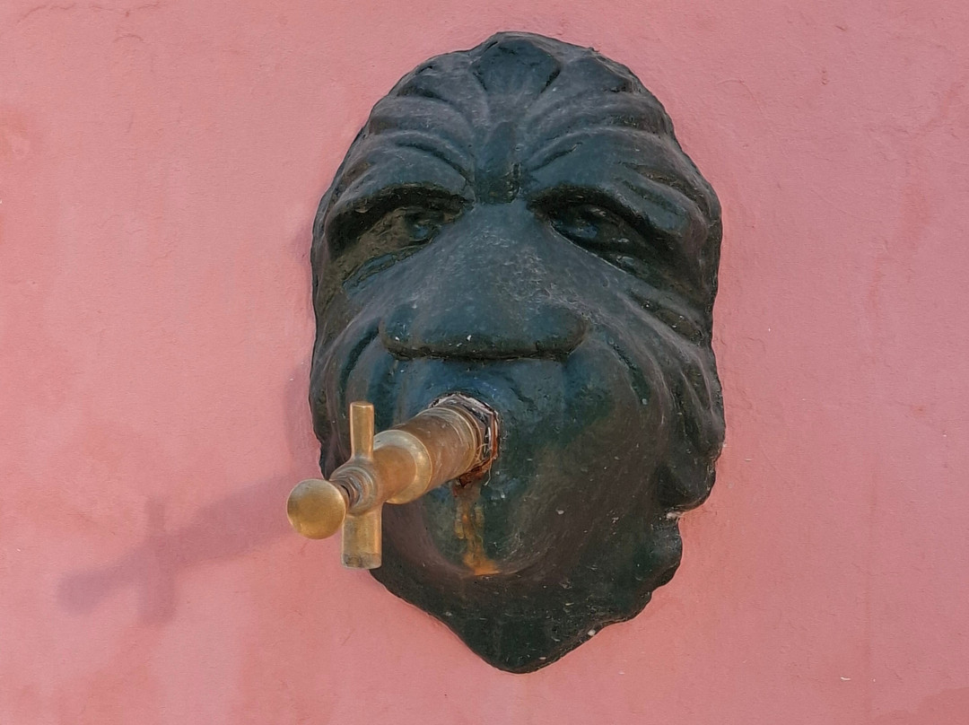 Jardim da Várzea-Pombal必去景点