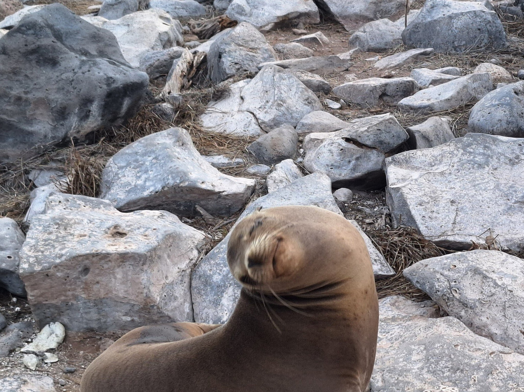 Go Galapagos-基多必去景点