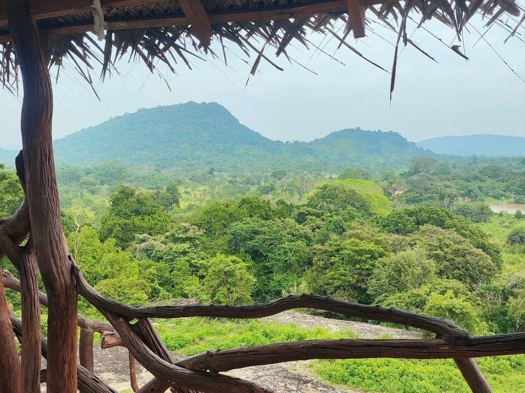 Wild Elephant Safari & Adventures-哈巴拉娜必去景点