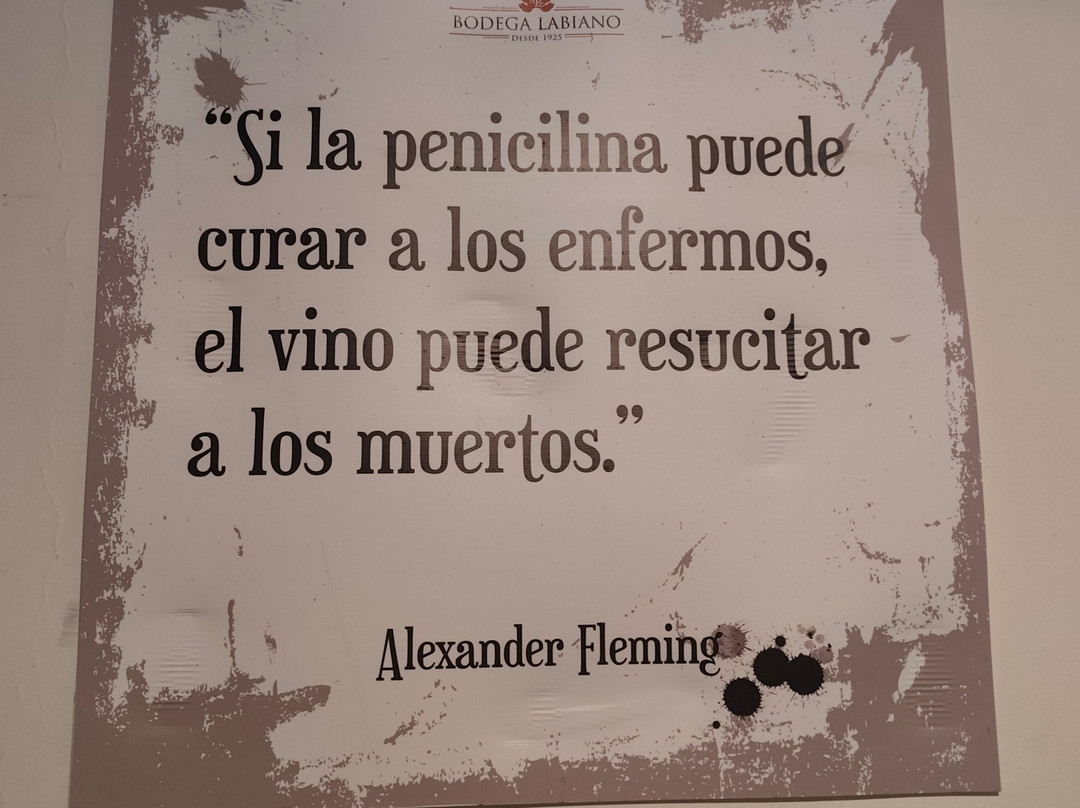 Bodega Labiano-圣拉斐尔必去景点