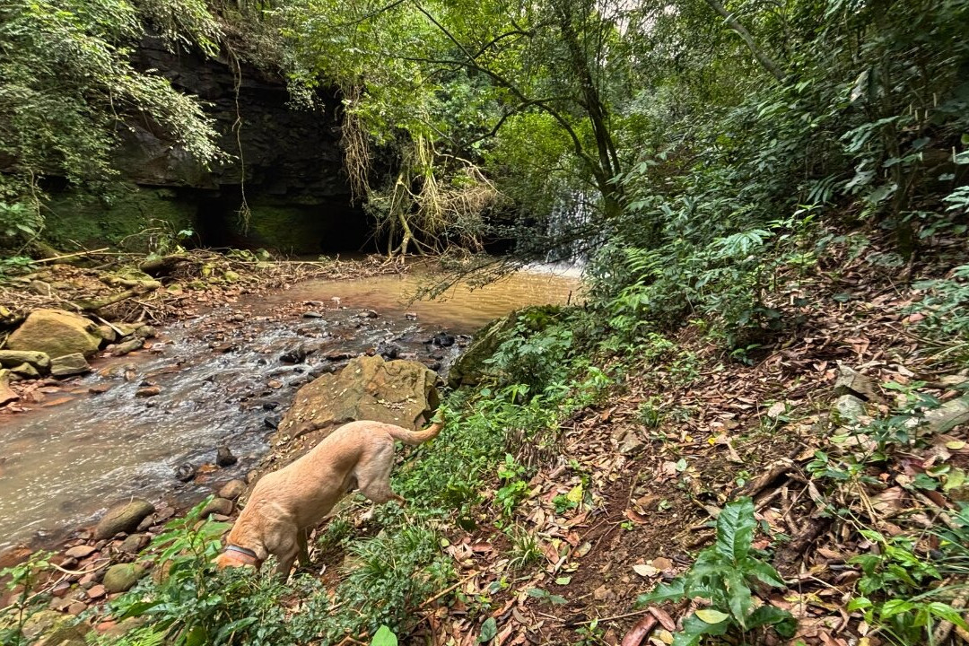 Cascata da Passarela (Dois Irmãos)-Dois Irmaos必去景点