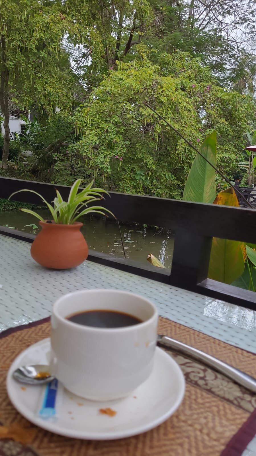 Parasol Blanc-官方