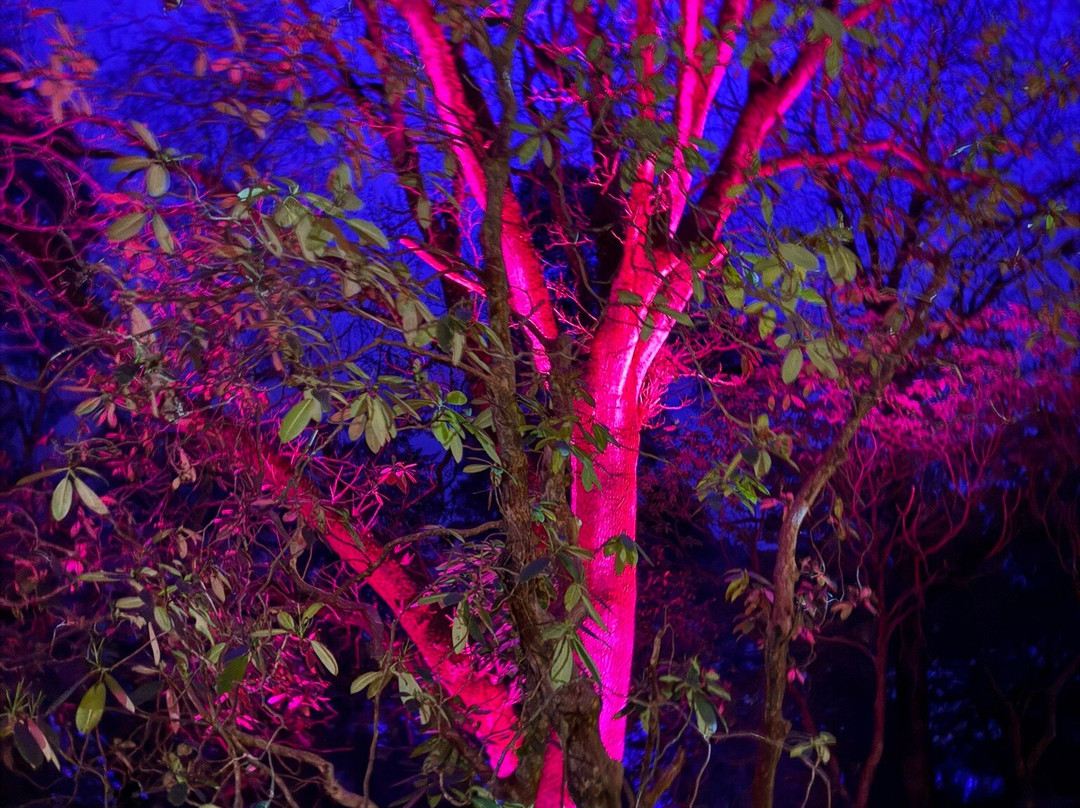 Leonardslee Illuminated-Lower Beeding必去景点