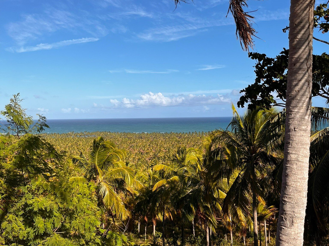 Praia Barra de São Miguel-Barra de Sao Miguel必去景点