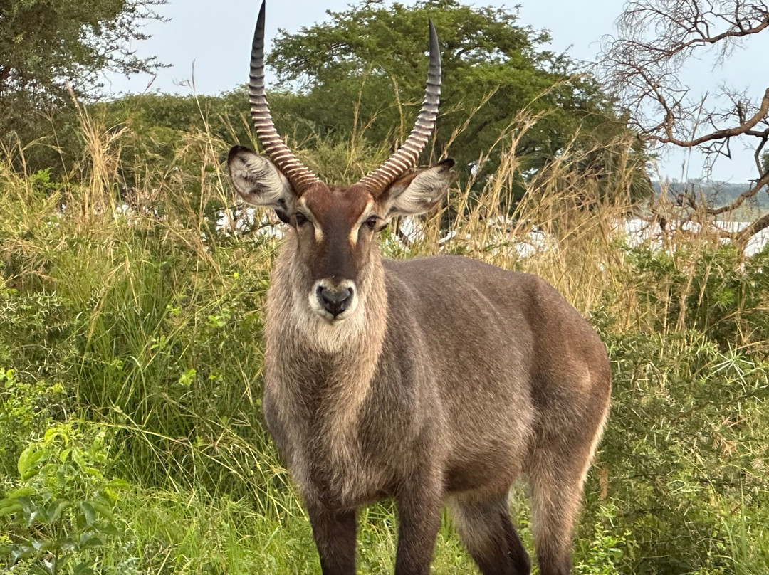Uganda Family Tours & Travel-Fort Portal必去景点