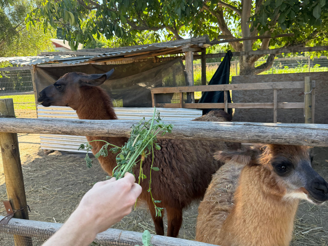 Campo La Quirinca-Isla de Maipo必去景点