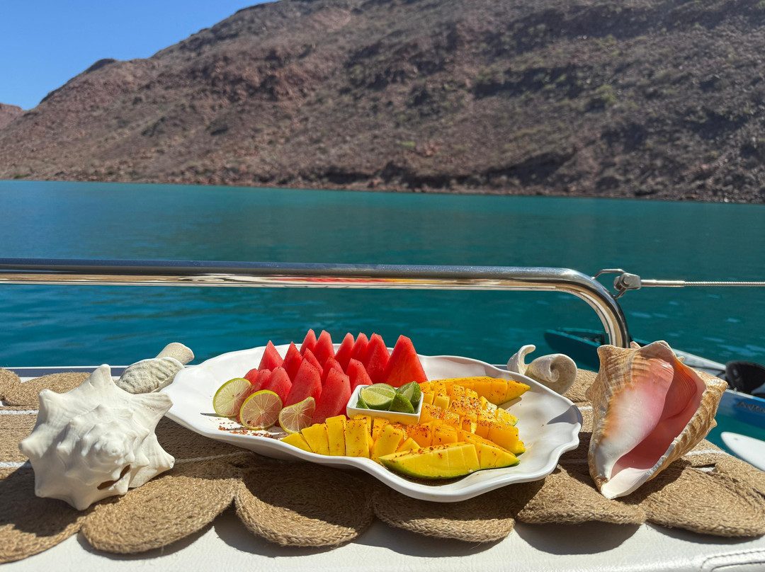 Yachtsmx