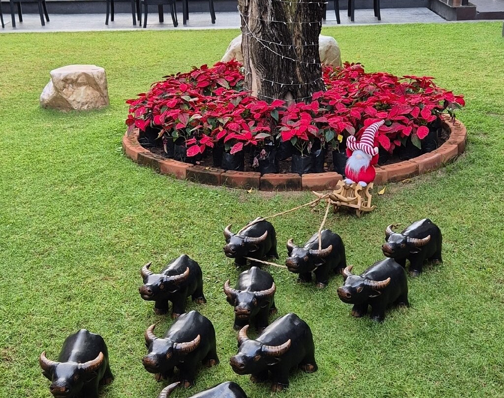 Amanta Hotel Nongkhai主图