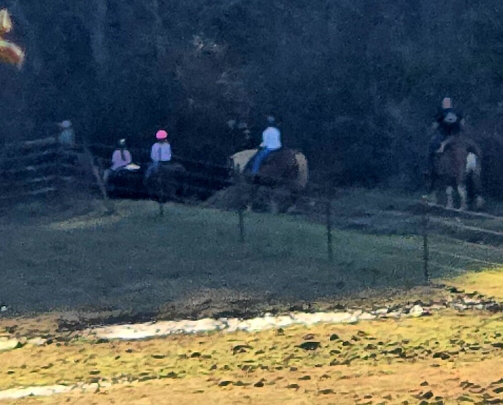 Appalachian Trail Rides-Mineral Bluff必去景点