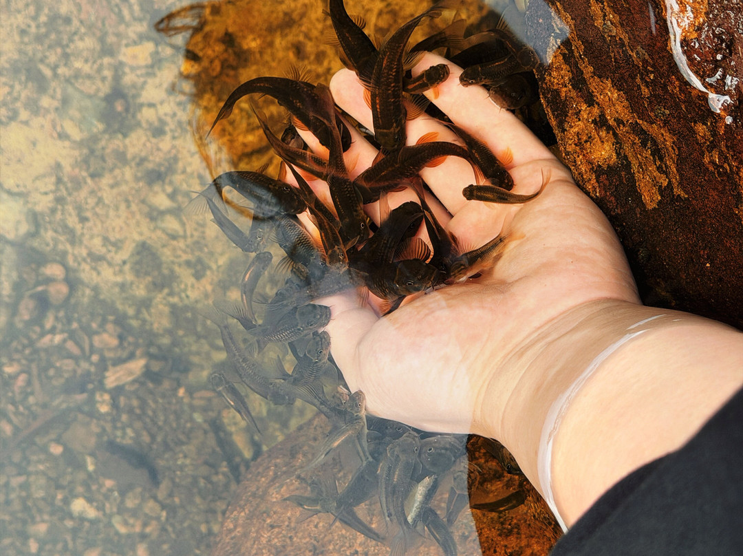 Rosewood Manor主图