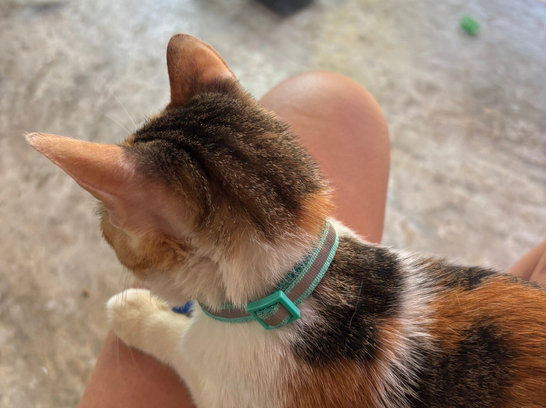 Refugio Holbox-Holbox Island必去景点