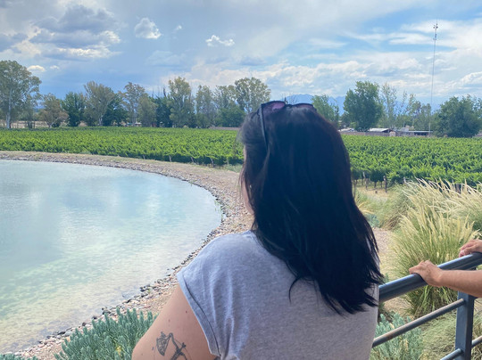 Bodega Budeguer-阿格雷洛必去景点