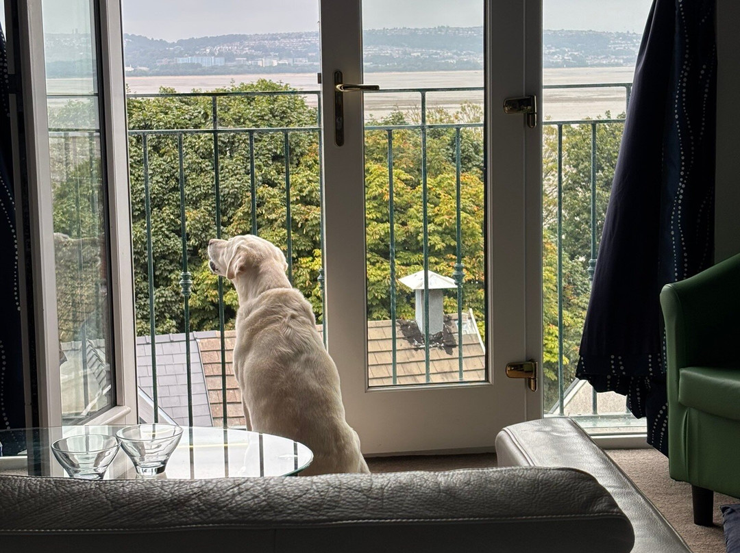 Patricks Boathouse主图