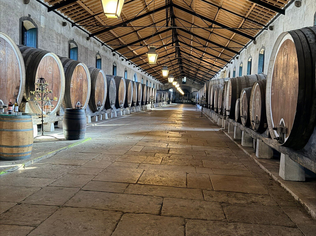 Adega Regional de Colares-科拉雷斯必去景点