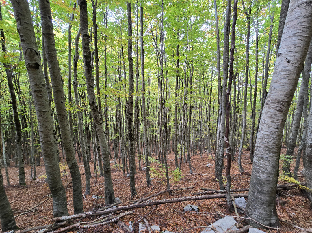 Lovcen National Park-Cetinje必去景点