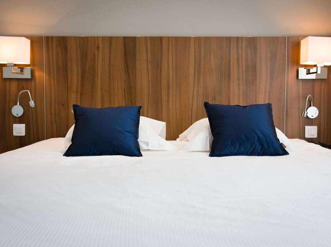 罗纳酒店住宿-Best Western Plus Hotel Plaisance