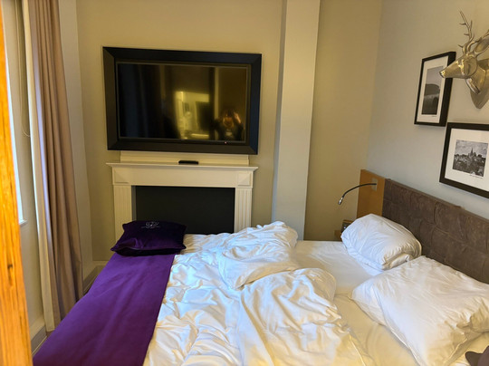 Hotel Brunnenhaus Schloss Landau主图