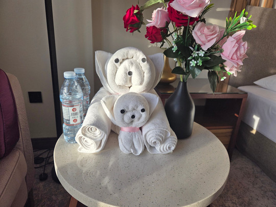 Millennium Resort Salalah主图