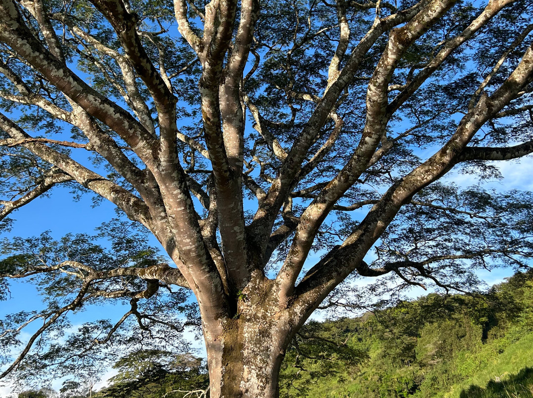 MonteTours-蒙特沃德必去景点