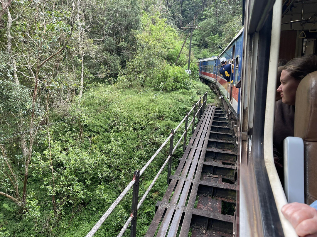 Kandy To Ella Train-阿努拉德普勒圣城必去景点