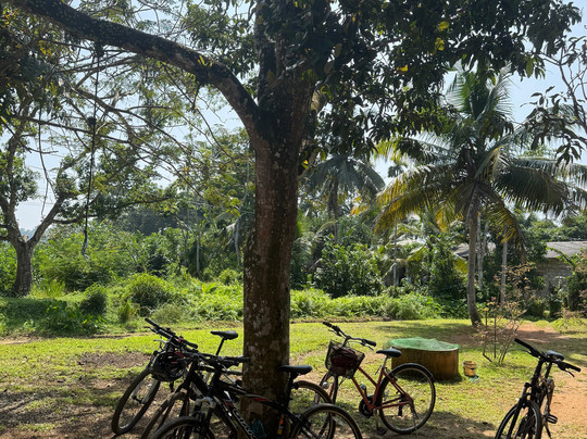 Village Rider-加勒必去景点