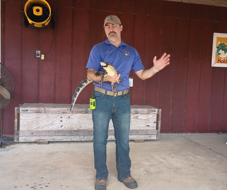 Insta-Gator Ranch & Hatchery-卡温顿必去景点