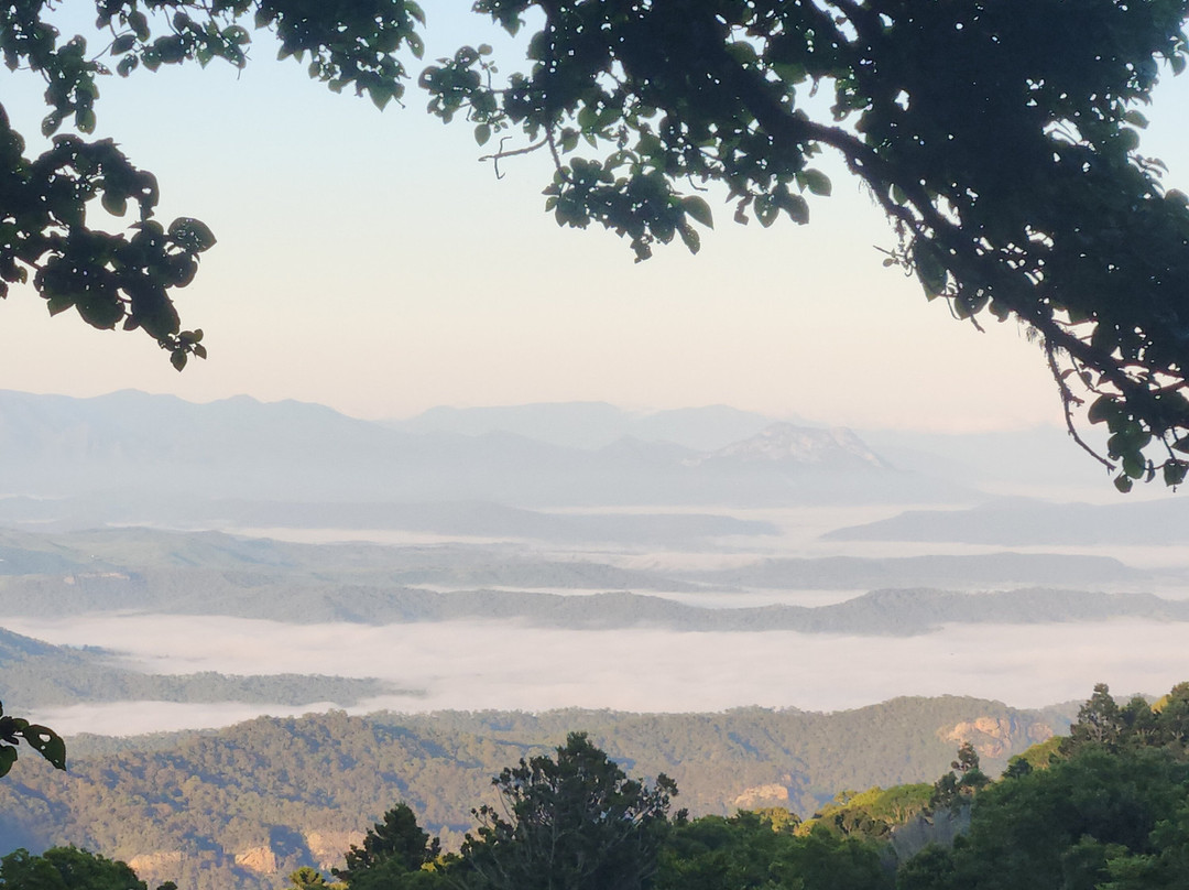 Fun Over Fifty-布里斯班必去景点