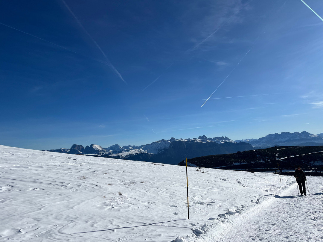 Pippos Mountain Lodge主图