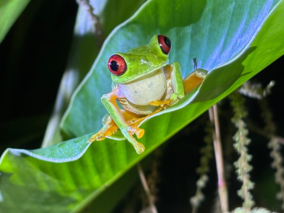 Santa Lucia Falls-乌维塔必去景点
