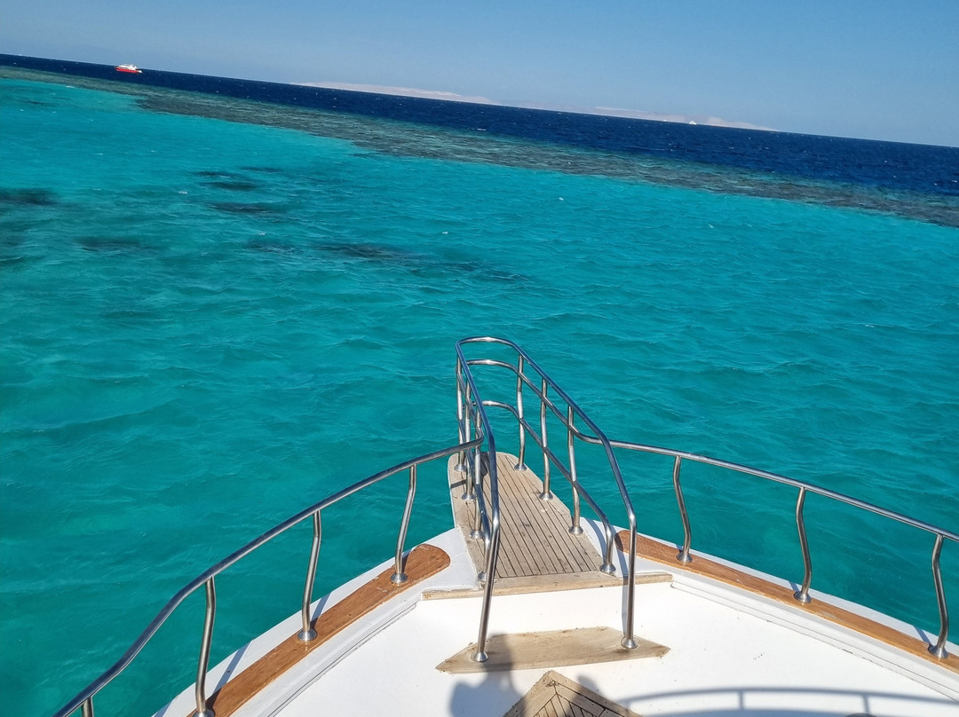 Red Sea Horse Diving-Hurghada 1必去景点