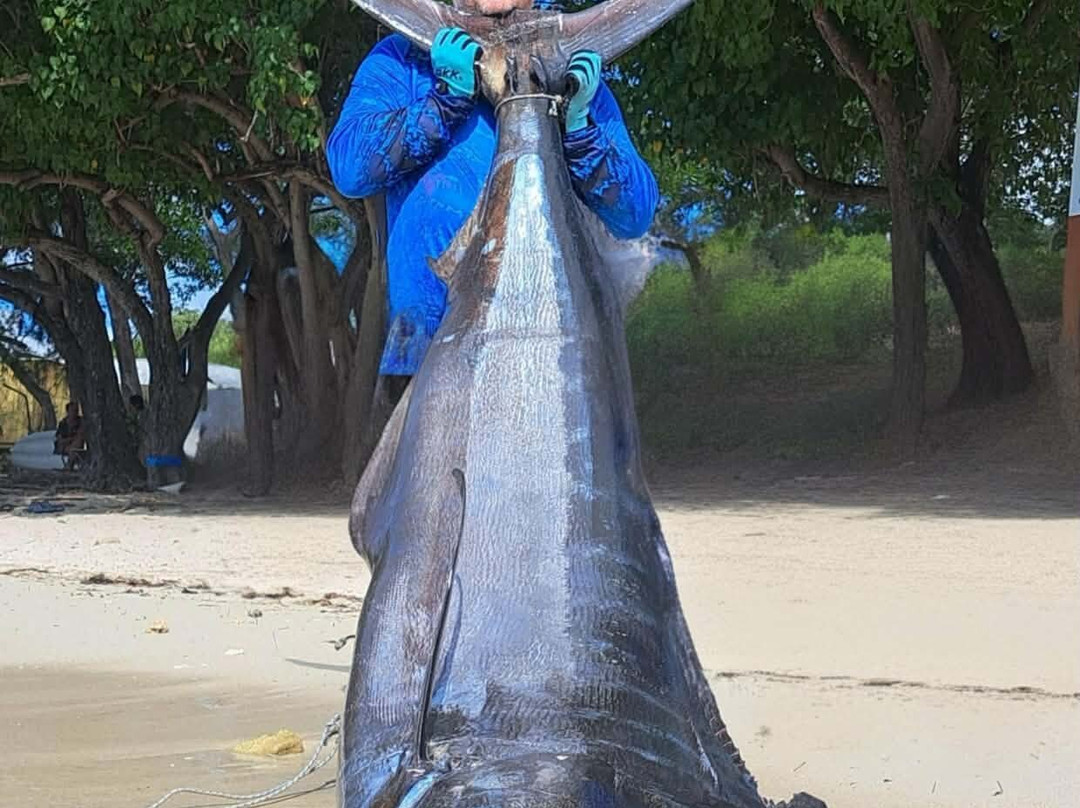 Le Trio Fishing-阿尔比恩必去景点