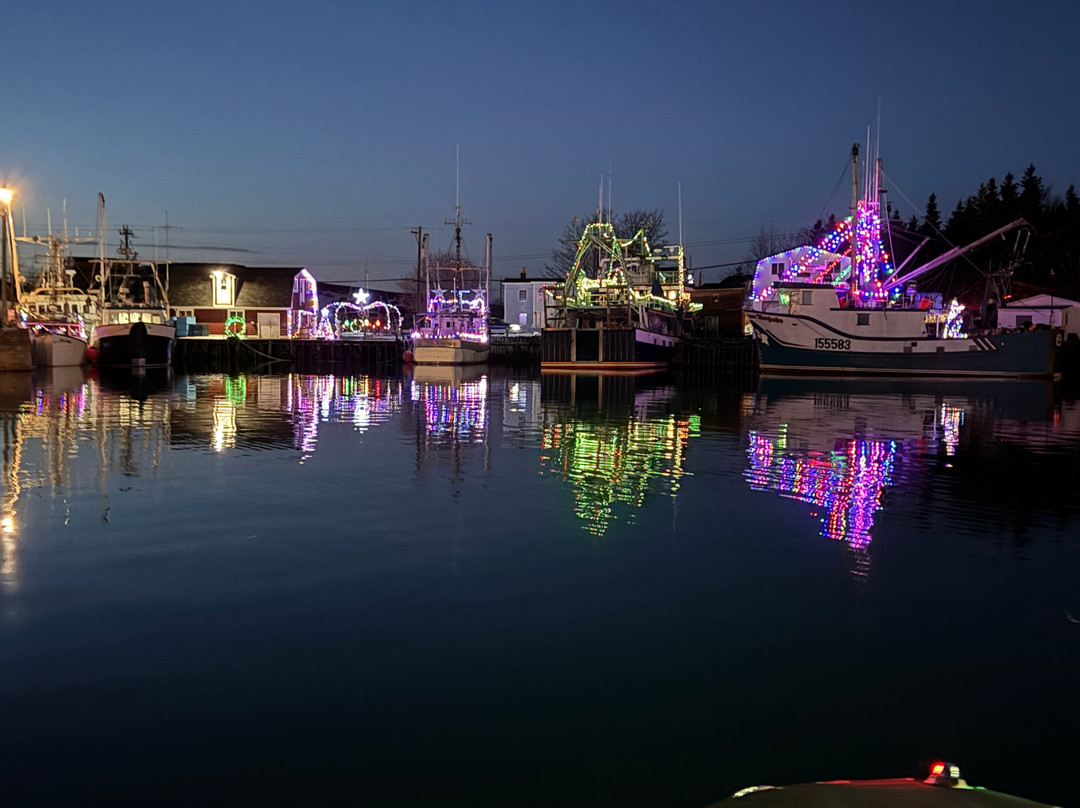 Old Salty Dog Excursions-Bay Roberts必去景点