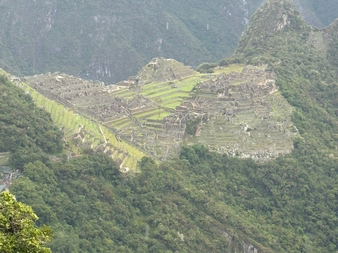 Alpaca Expeditions-库斯科必去景点