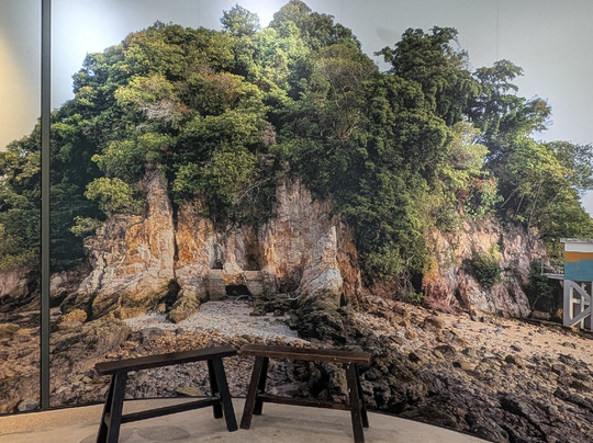 下畅游圣淘沙自然探索中心-圣淘沙岛必去景点