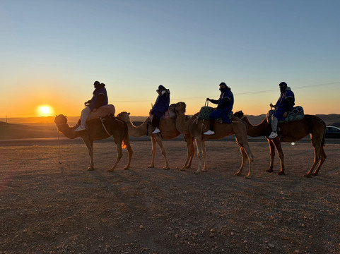 LynxTrip-马拉喀什必去景点