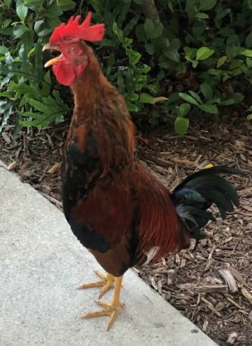 Courtyard by Marriott Key West Waterfront-浴室