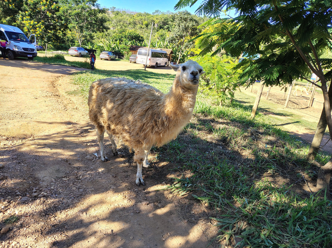 Agência de Turismo Qual O Segredo Aventuras
