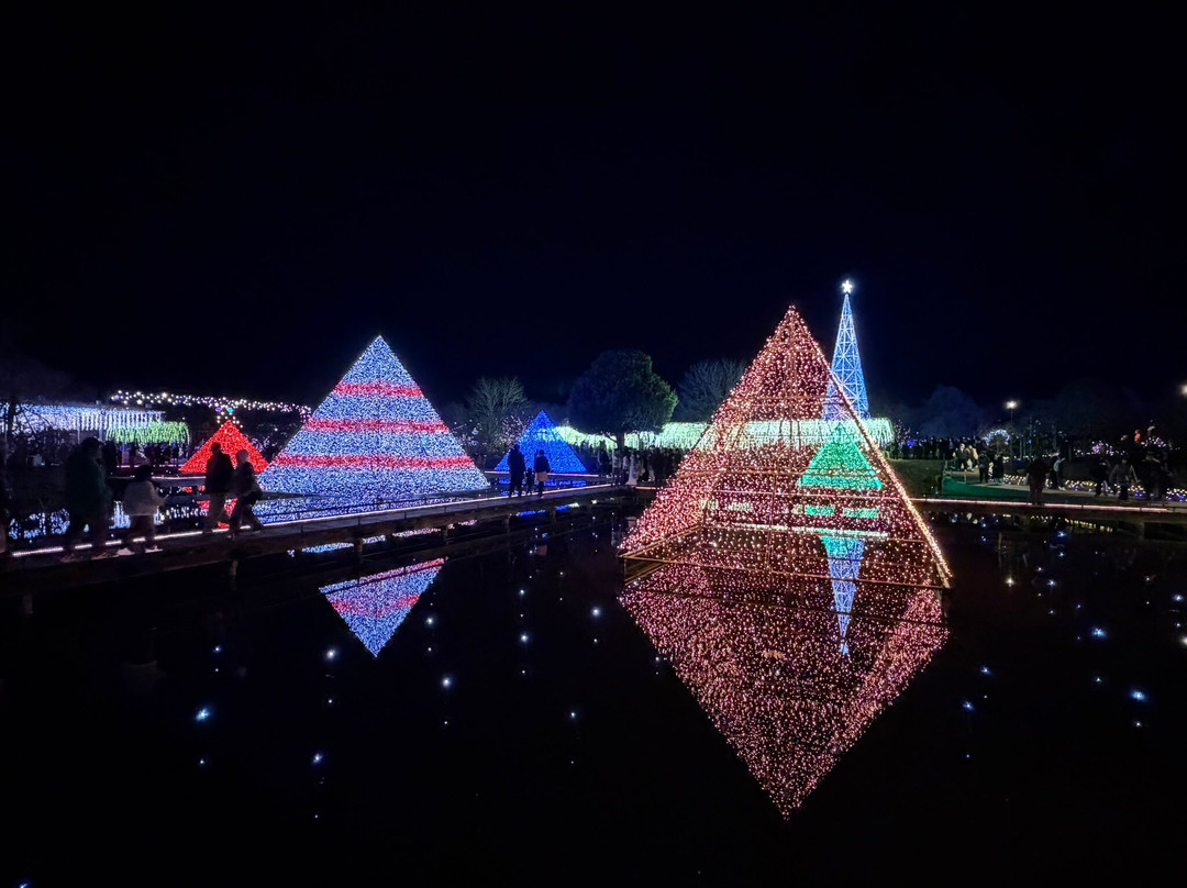 Ashikaga Flower Park-足利市必去景点