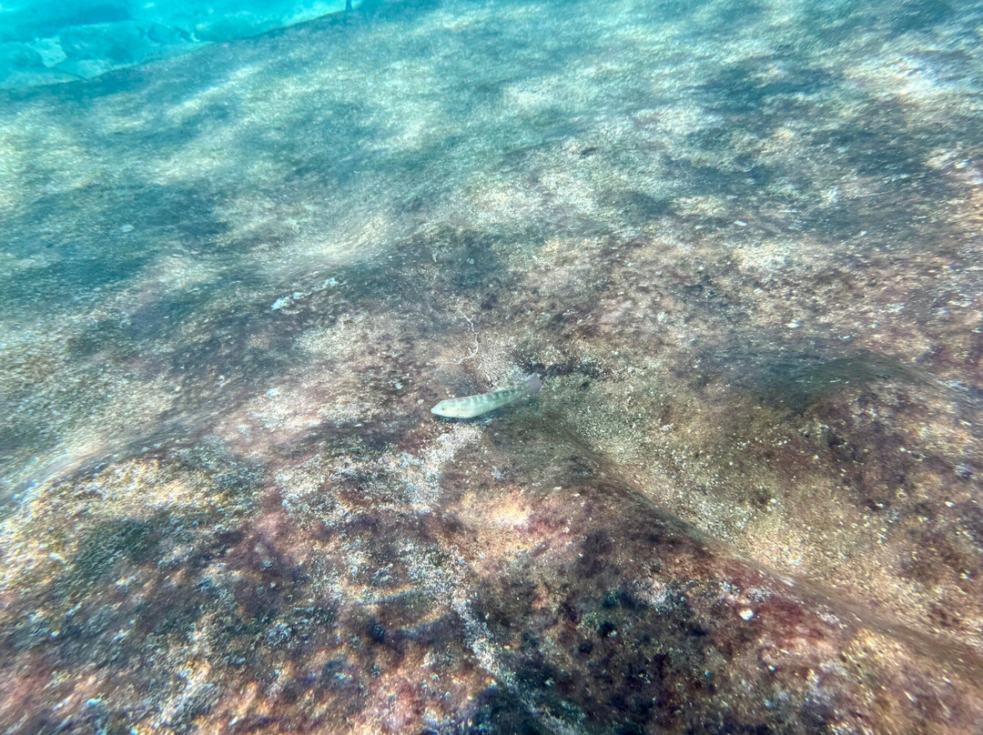 Playa Mar Chiquita-Manati必去景点