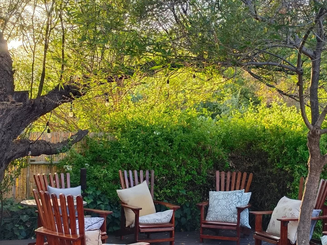 Dennehof Karoo Guesthouse主图